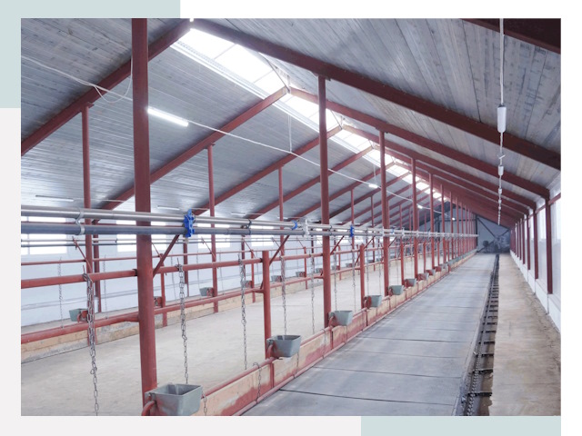 Строительство коровников в Ачинске от 608 руб.