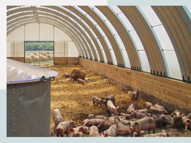 Строительство свинарников в Ачинске