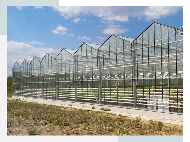 Строительство теплиц в Ачинск от 608 руб. за м²